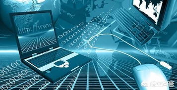 人工智能應(yīng)用軟件開(kāi)發(fā) 通往AI與物聯(lián)網(wǎng)行業(yè)的專業(yè)路徑